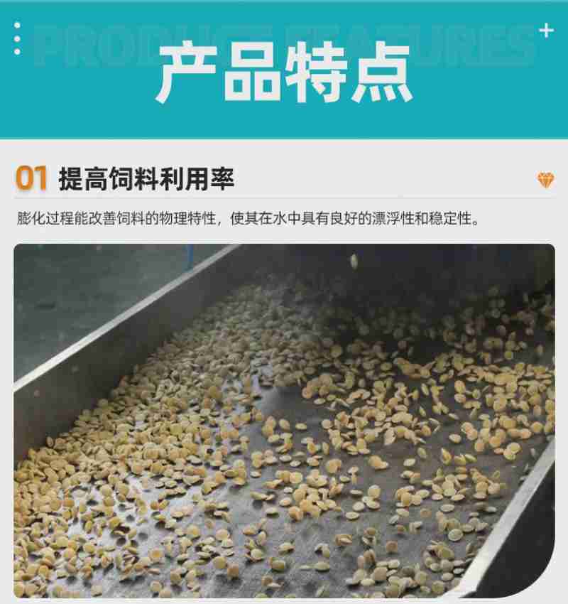 游客正在千佛洞许愿墙上挂许愿牌 (央广网发 罗佳妮 摄)