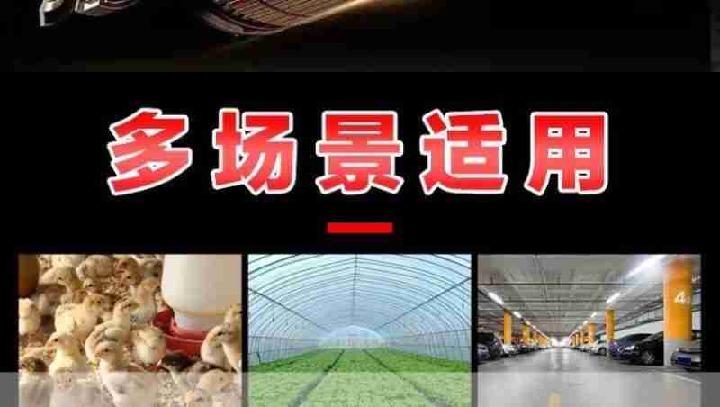 总监制:骆红秉